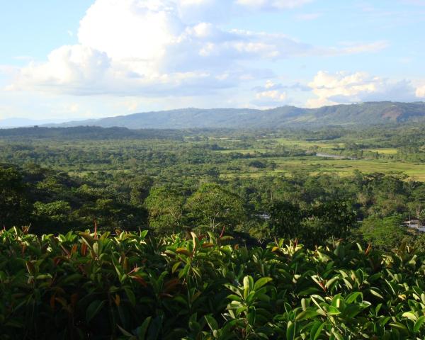 A beautiful view of Moyobamba