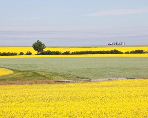 A beautiful view of Red Deer