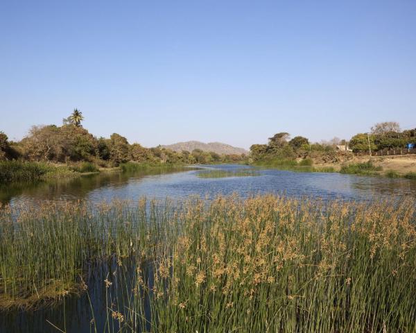 A beautiful view of Sasan Gir.