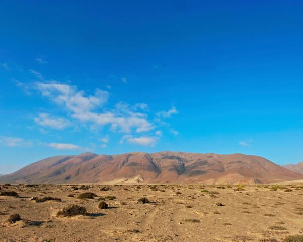 London → Copiapó