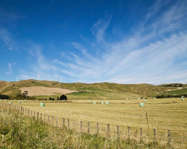 Piękny widok miasta Palmerston North