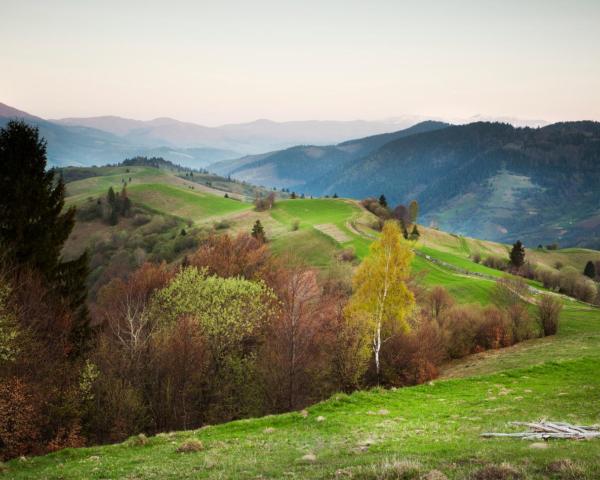 Una bellissima vista di Bacău