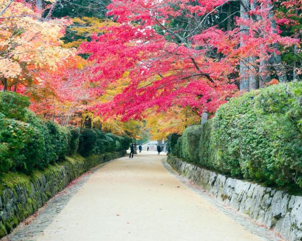 A beautiful view of Koyasan.