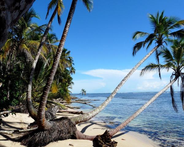 Uma bela vista de: Cahuita