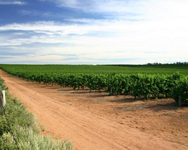 A beautiful view of Mildura