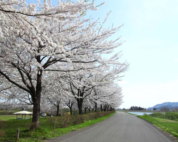 A beautiful view of Akita