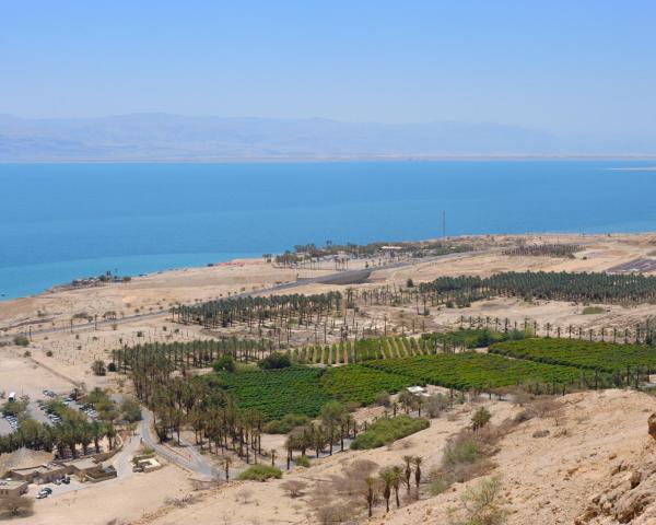 A beautiful view of Ein Gedi.