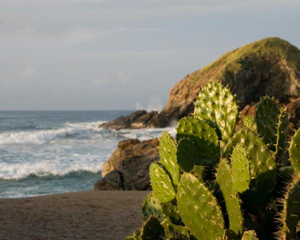 Krásný pohled na město Zipolite