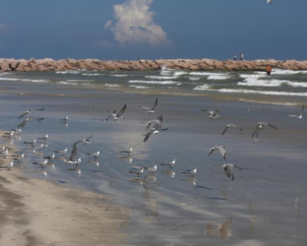 Een mooi uitzicht van Harlingen