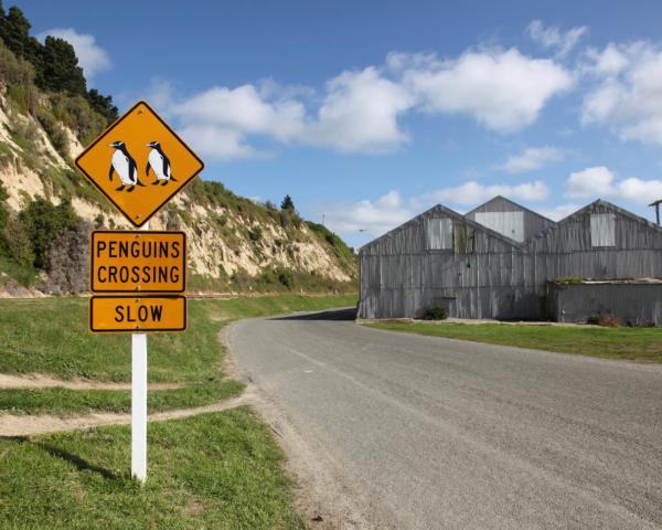 Una bellissima vista di Oamaru