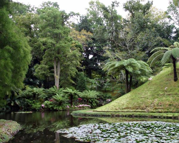 A beautiful view of Furnas