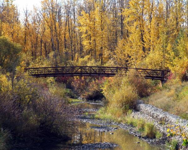 A beautiful view of Grande Prairie