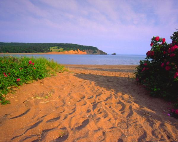 A beautiful view of Wolfville.