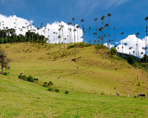 A beautiful view of Tulua.