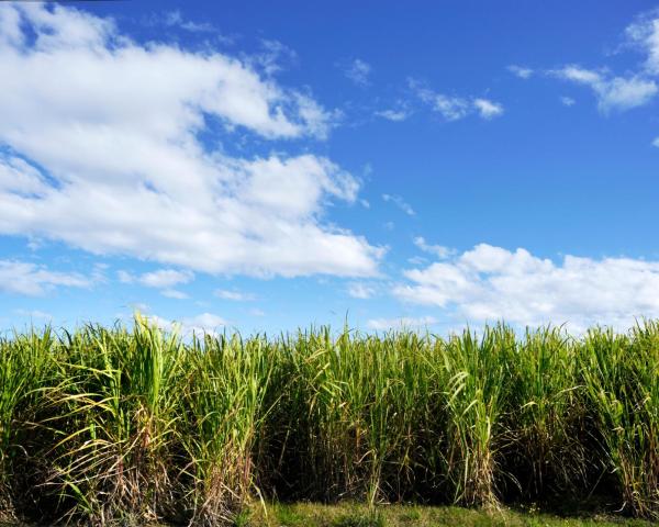 A beautiful view of Proserpine