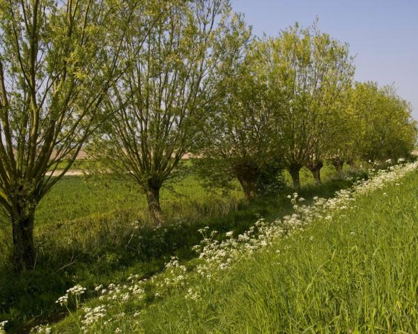 En smuk udsigt over Geel