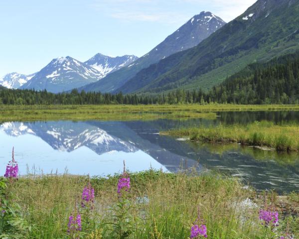 Vedere frumoasă la Soldotna