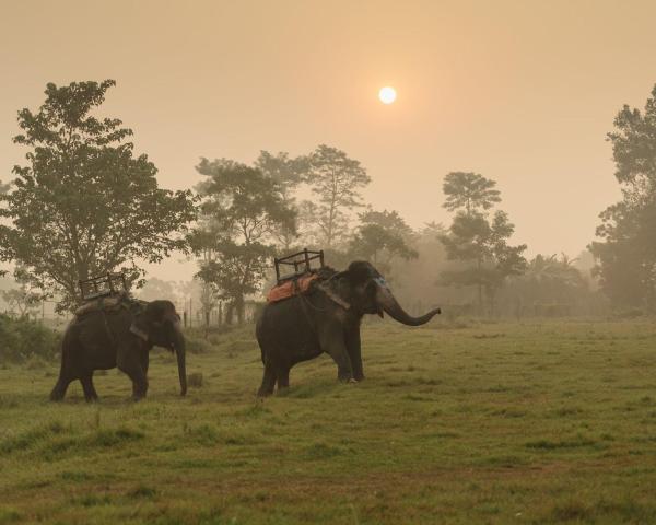 Čudovit pogled na mesto Chitwan