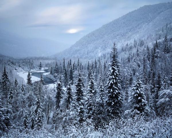 Linna Kenai kaunis vaade