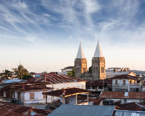 Uma bela vista de: Stone Town