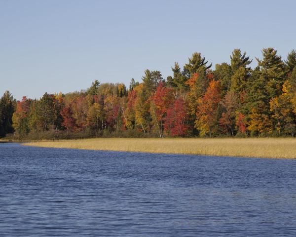 New York → Rhinelander