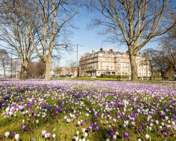 A beautiful view of Harrogate.