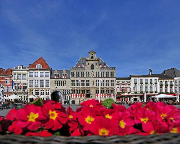 Piękny widok miasta Bergen op Zoom