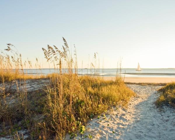 Fallegt útsýni yfir staðinn Hilton Head Island