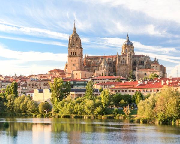 A beautiful view of Salamanca.