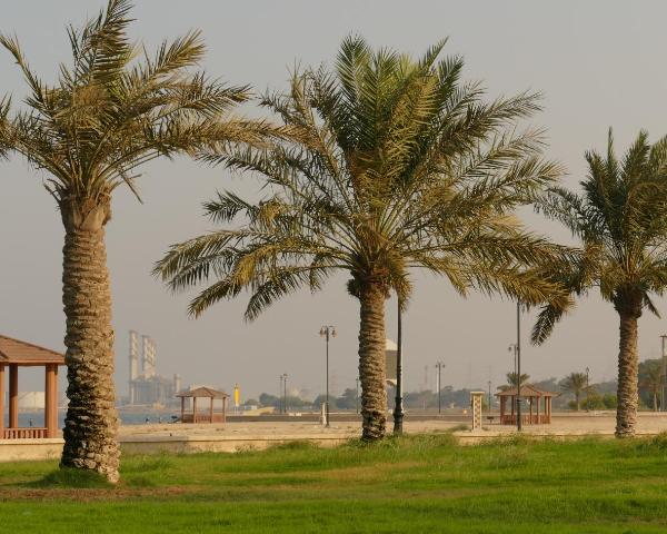 הנופים היפים של Al Jubail