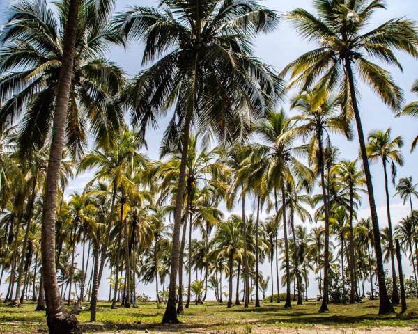 A beautiful view of Guachaca.