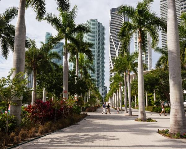 Piękny widok miasta Miami