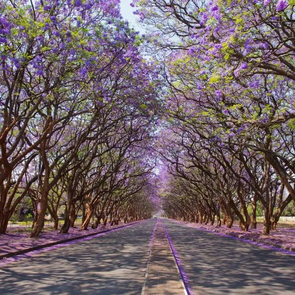 Harare