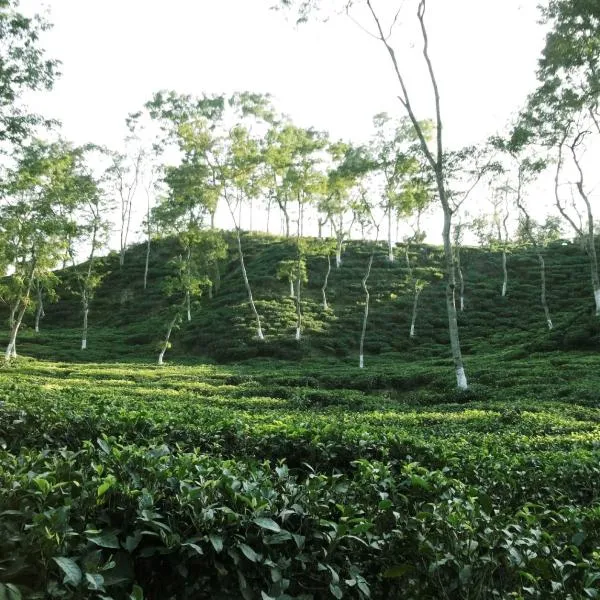 Sylhet