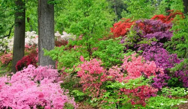 10 Year-Round Things to Do in Muskogee, Oklahoma