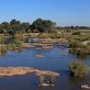 Lodges in Marloth Park