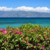 Things to do in Lahaina