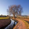 Lloguer de cotxes barat a Manresa