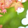 Cheap car rental in Kashiwa