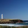 Pet-Friendly Hotels in Wollongong