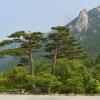 Cheap holidays in Sokcho