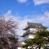 Cheap car rental in Odawara