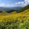 Δωμάτια σε Οικογενειακές Κατοικίες σε Mae Hong Son