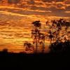 Férias baratas em Cunnamulla