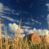 Cheap car rental in Beckum