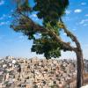 Flights to Amman