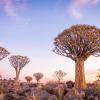 Guest Houses in Keetmanshoop