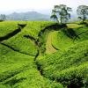 Auberges de jeunesse à Bandung