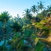 Hotels in Ubud