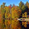 Kjæledyrvennlige hoteller i Lake George